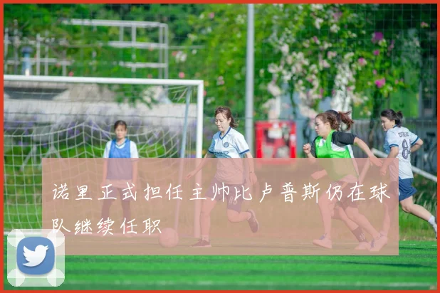 诺里正式担任主帅比卢普斯仍在球队继续任职