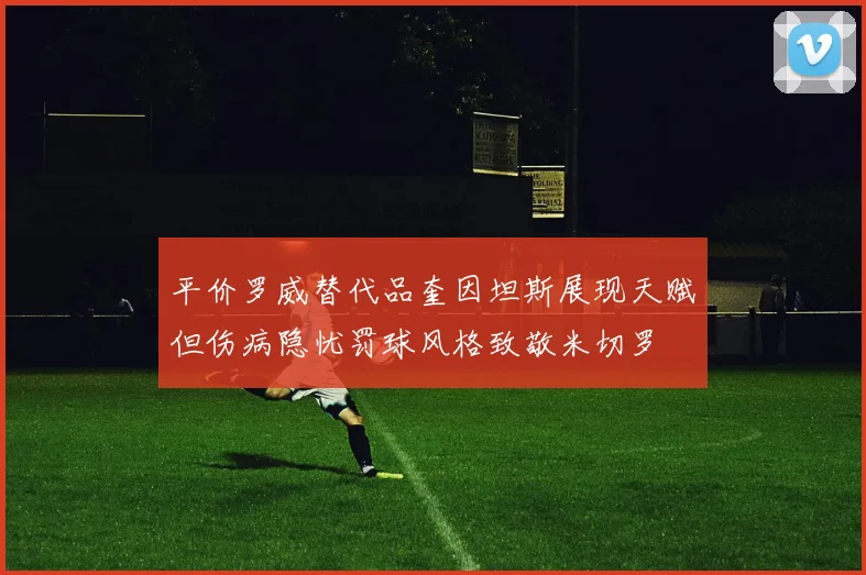 平价罗威替代品奎因坦斯展现天赋但伤病隐忧罚球风格致敬米切罗