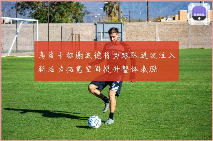 乌度卡称谢泼德将为球队进攻注入新活力拓宽空间提升整体表现