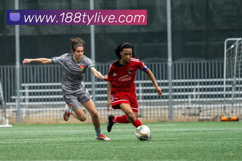 188体育平台生态图